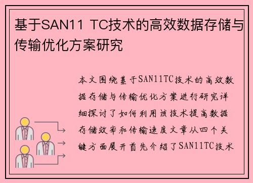 基于SAN11 TC技术的高效数据存储与传输优化方案研究